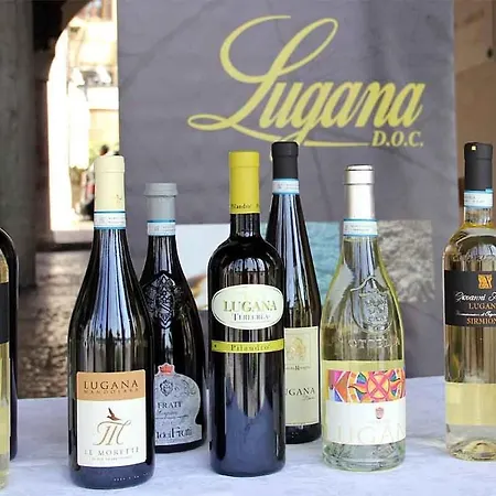 Apartment Discovery Flat With Pool & Bikes *