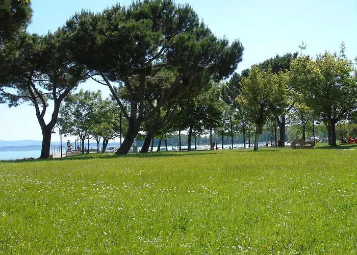 Discovery Flat With Pool & Bikes